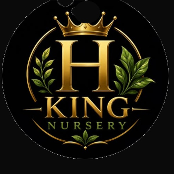 King H Nursery logo